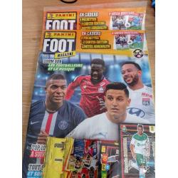 Album panini foot