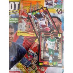 Album panini foot