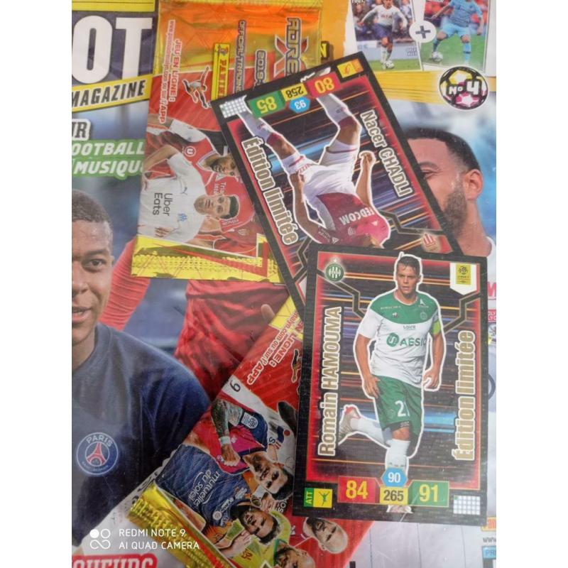 Album panini foot