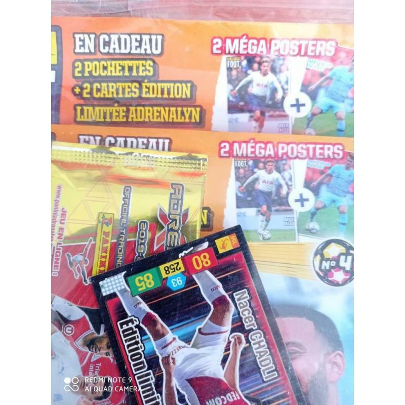 Album panini foot