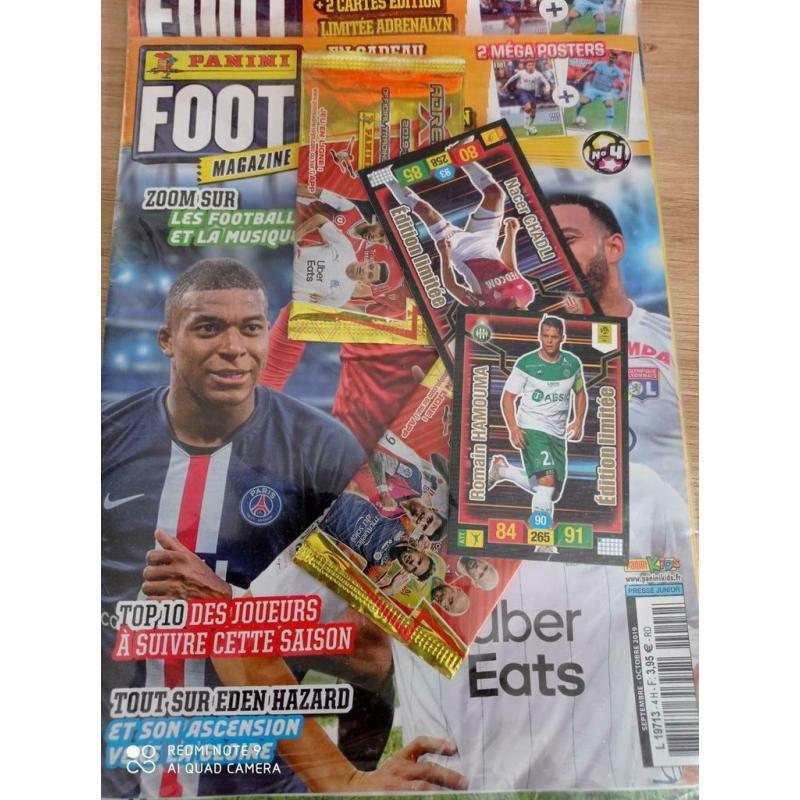 Album panini foot