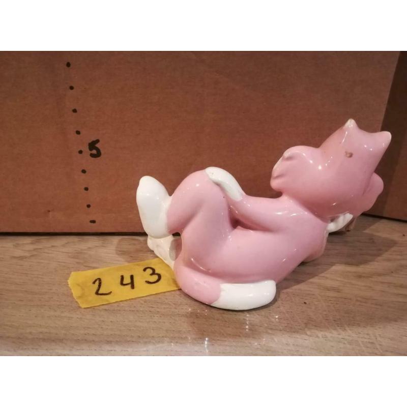 Roze kat in gebruikte staat