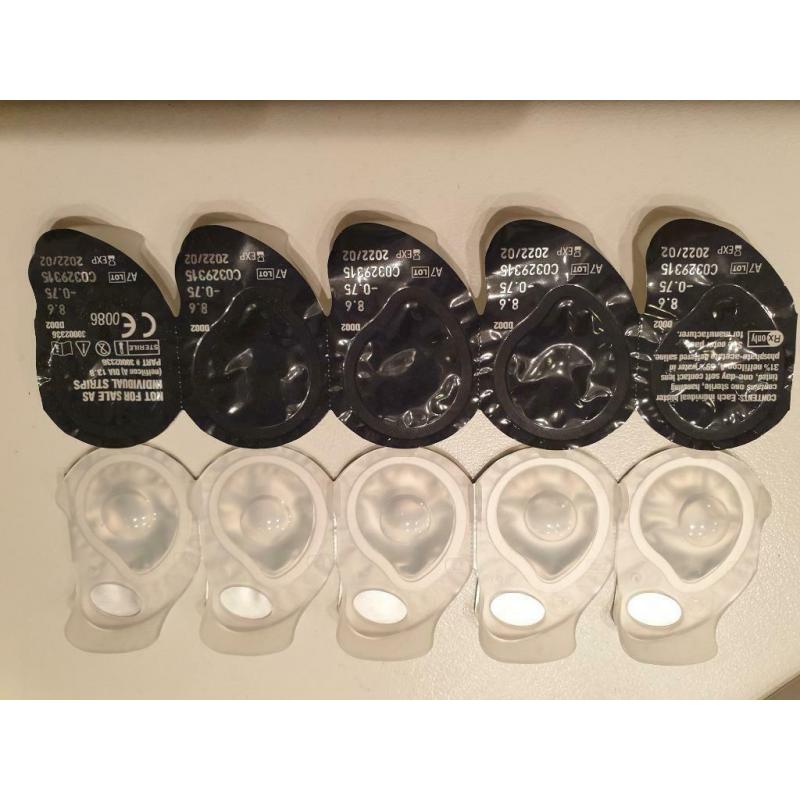 Lentilles journalières