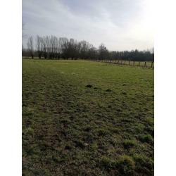 Weide te huur Hasselt