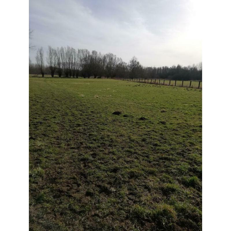 Weide te huur Hasselt