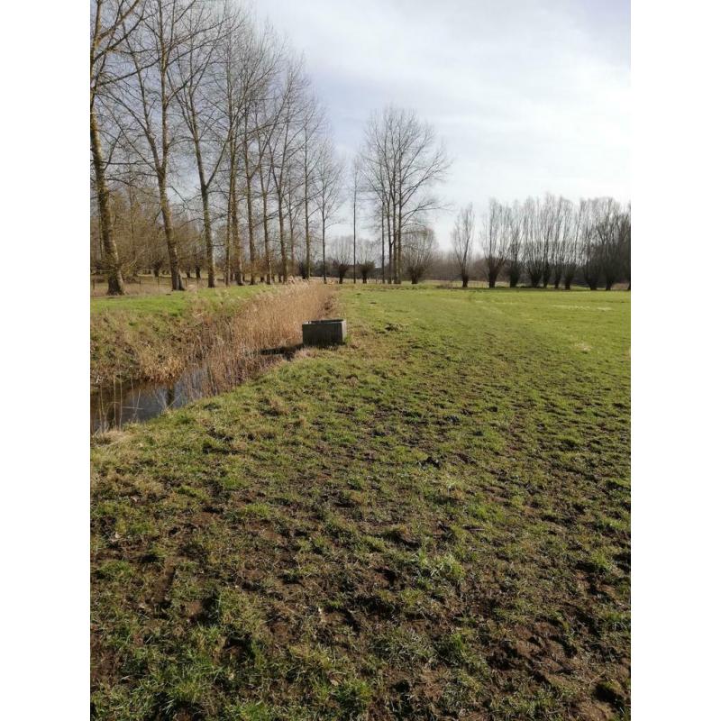 Weide te huur Hasselt