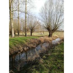 Weide te huur Hasselt