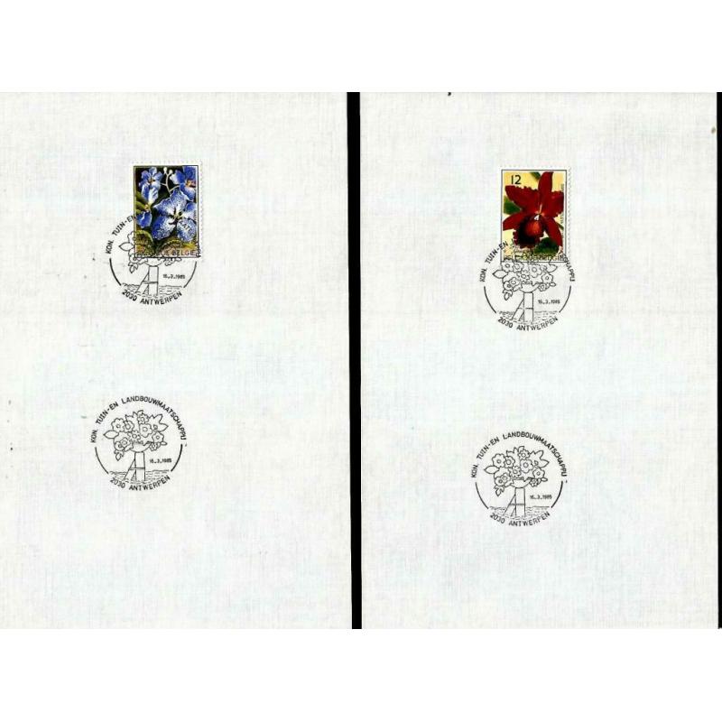 België 1985 Verzorgde afstempeling op blad 130 x 260 mm