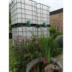 Citerne cubi ibc 1000l sur palette plastique