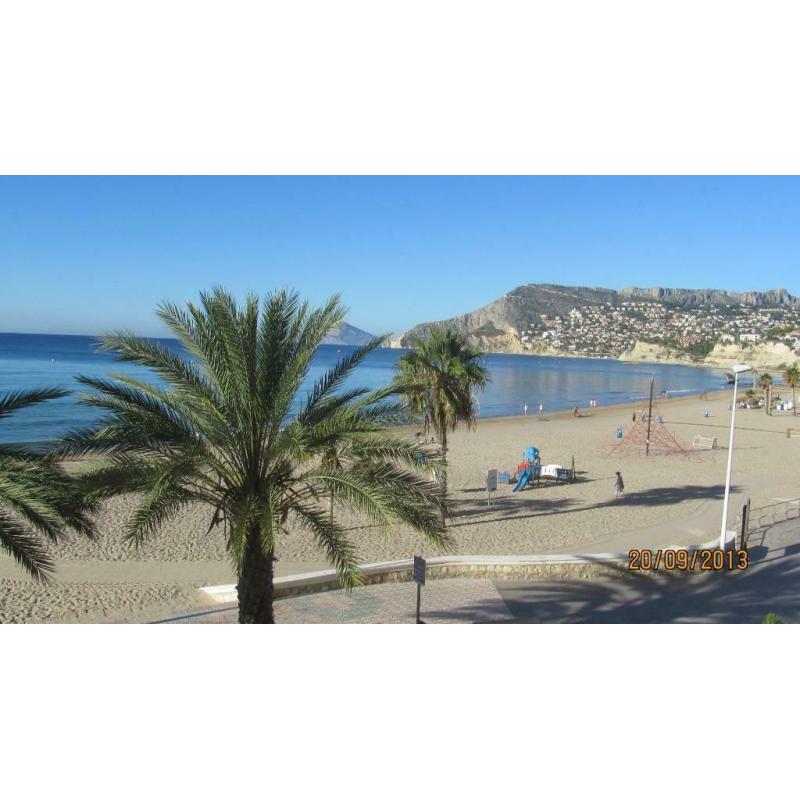 Costa blanca calp