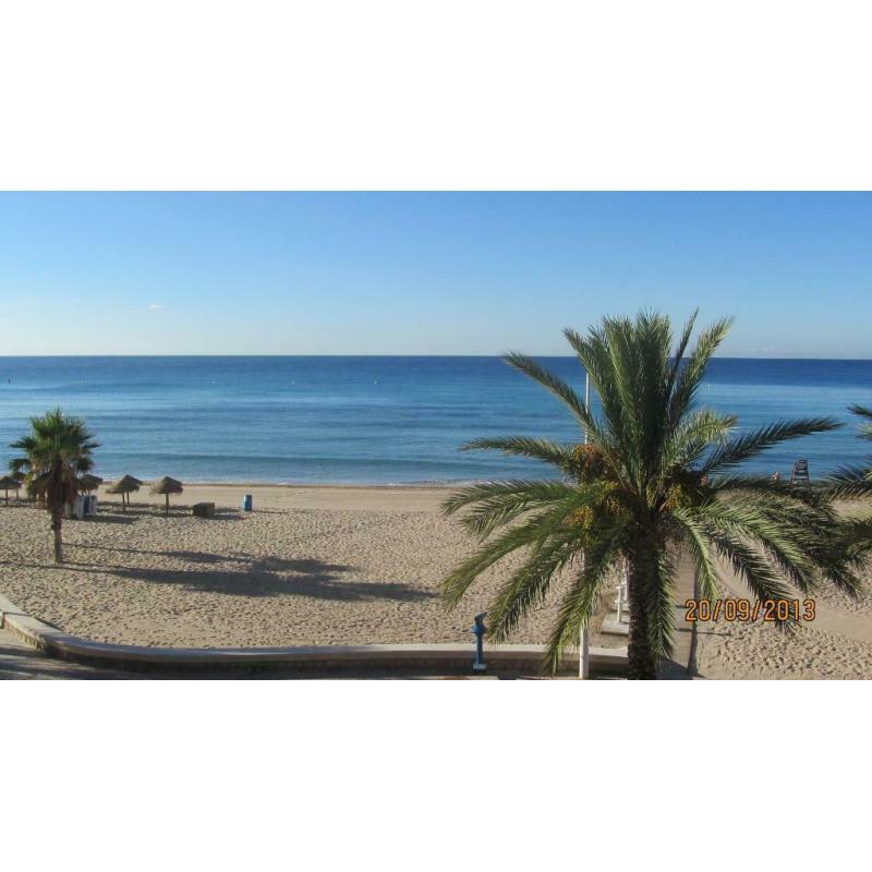 Costa blanca calp