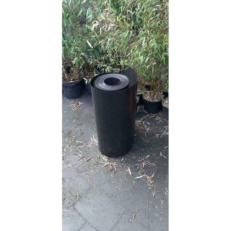 Rhizoom wortel begrenzer bamboe plant.
